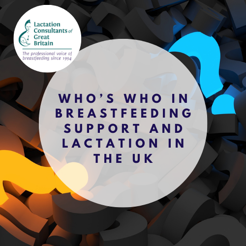 Who's Who in breastfeeding support and lactation in the uk